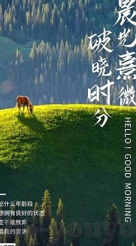 麻豆传媒app免费观看-多重诱惑，麻豆传媒APP的免费观看现象