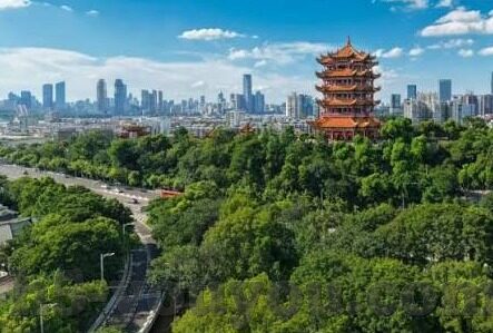 麻豆自制传媒 国产之光app-麻豆自制传媒，照亮国产娱乐界的创新之光
