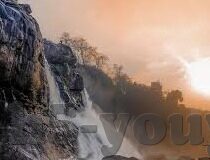 猫扑视频麻豆-漫游猫扑视频世界——麻豆文化的现象与影响