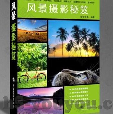 无码免费一区二区三区-探索网络世界的多元内容与个人选择